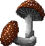 Edible Mushroom.png
